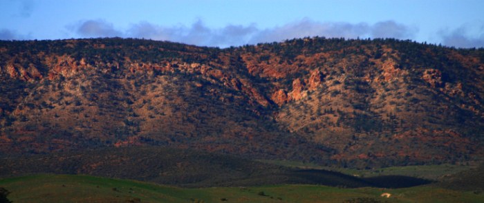 Flinders Ranges, Bounceback program